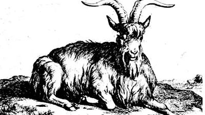 Goat Quest - Elfmaids & Octopi tabletop RPG module cover art for OZ ORC Adelaide